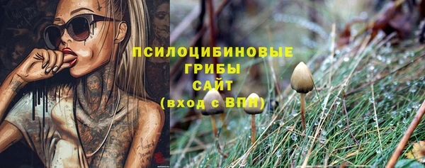 соль курить ск Гусиноозёрск