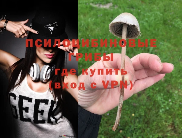 а пвп мука Гусев