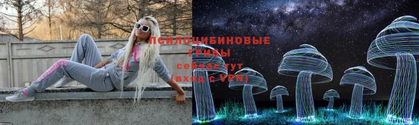 а пвп мука Гусев