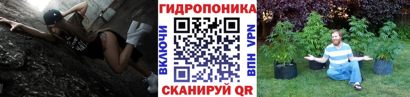 Бошки Шишки конопля  Купить  Ишим 